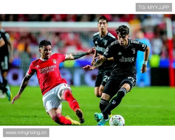 曼联应全力争取引进恩佐